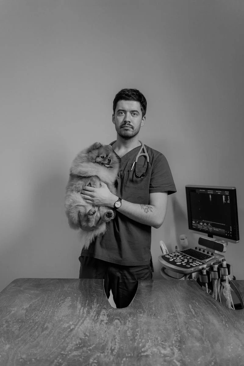 Consultório Veterinário Dr. Marcello Scielzo - equipe