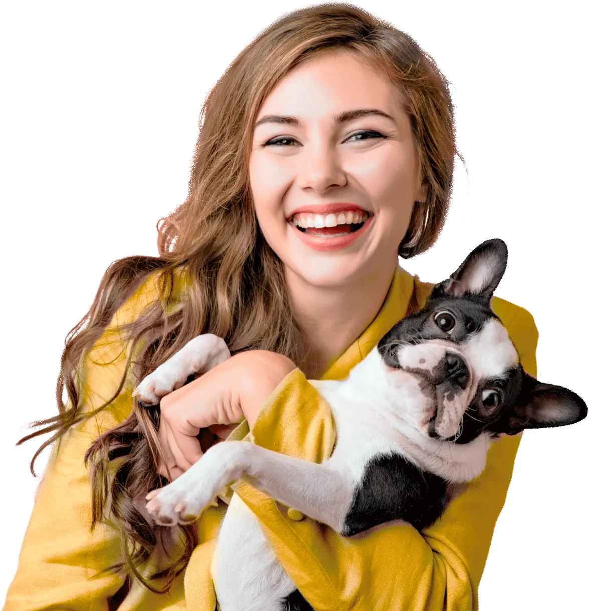 Consultório Veterinário Dr. Marcello Scielzo