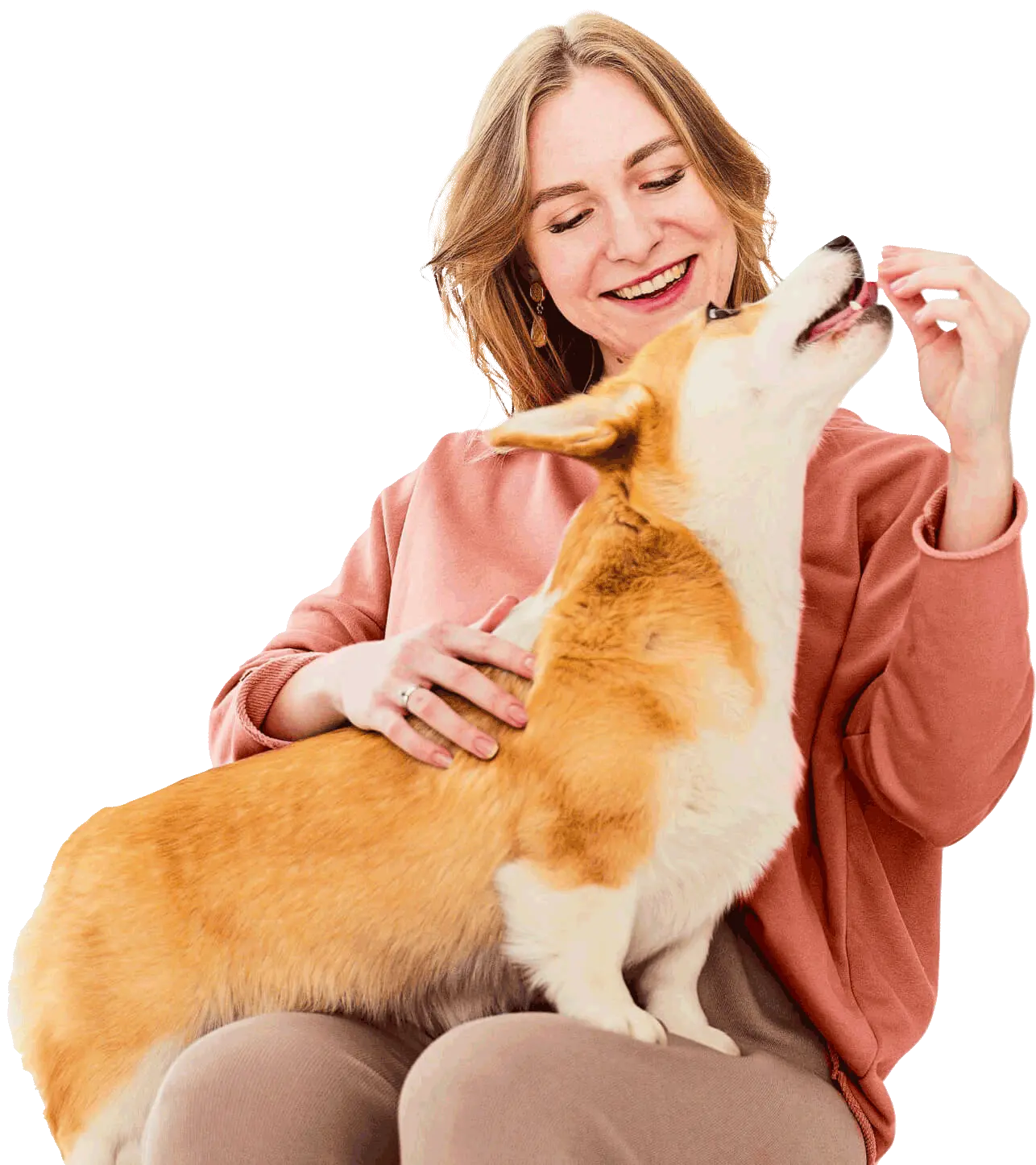 Consultório Veterinário Dr. Marcello Scielzo